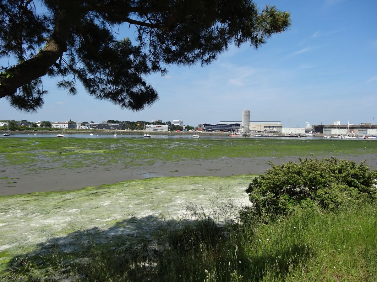 Vue sur la cité de la voile Tabarly, située de l'autre côté de la rade