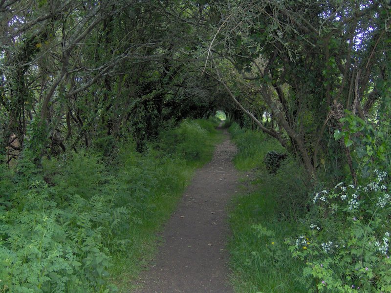 Chemin arboré étang de Kermélo