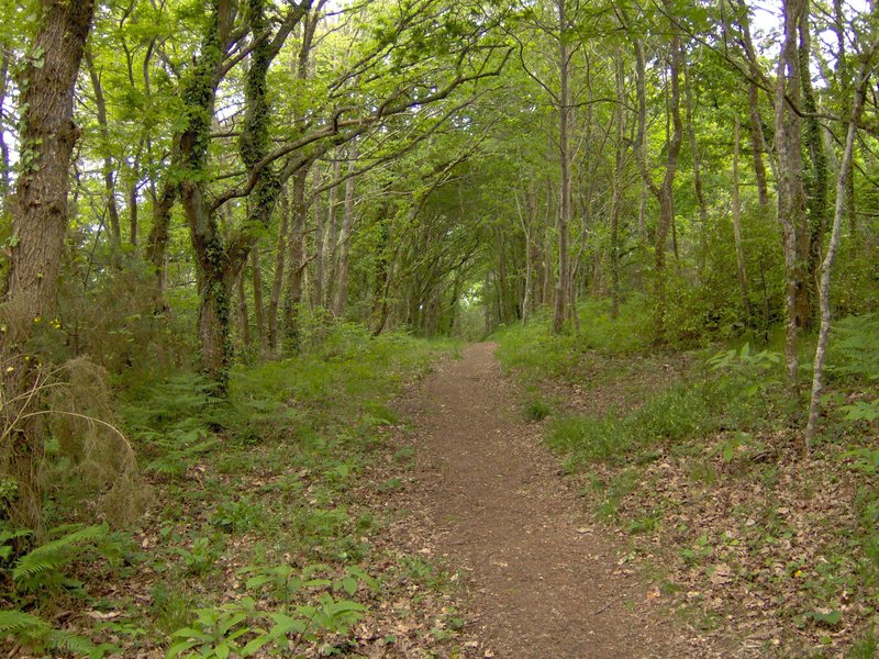 chemin dans les bois étang de Kermélo