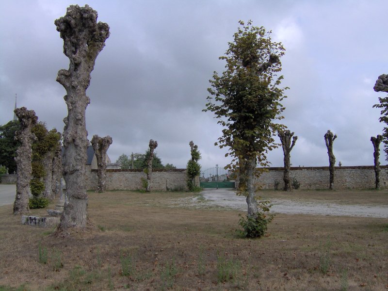 Arbres entrée cimetière chapelle Lesbin