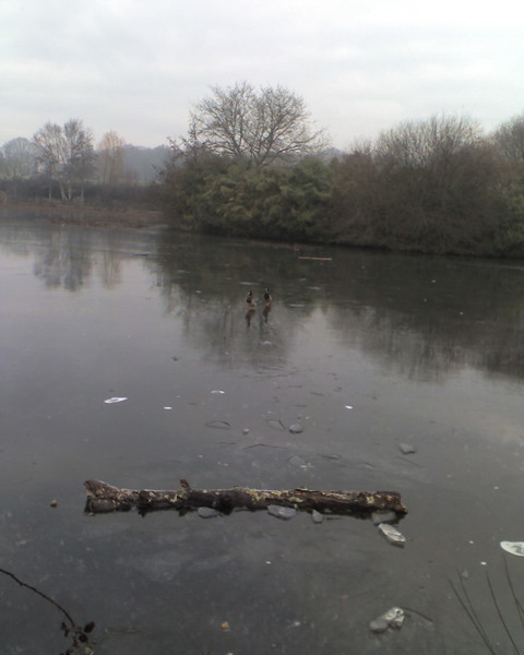Un peu de froid et les canards semblent marcher sur l’eau !
