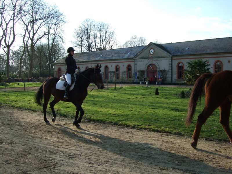 Carrousel société hippique nationale Hennebont 2009