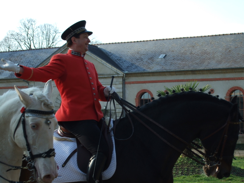 Grande parade des étalons 2009 Haras d'Hennebont