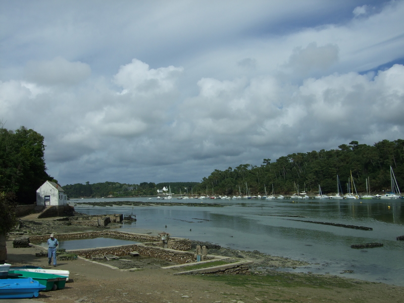 Port du Bélon et ses parcs à huitres