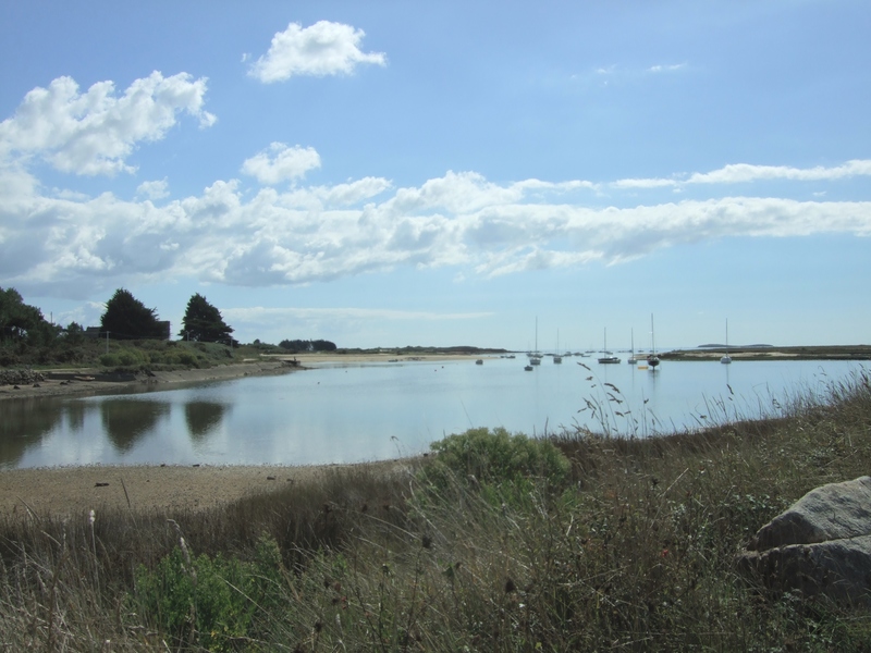 Marais de Brennegi (Locmariaquer)