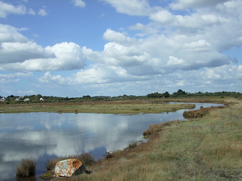 Locmariaquer (reflets dans l'eau, Marais de Brennegi)