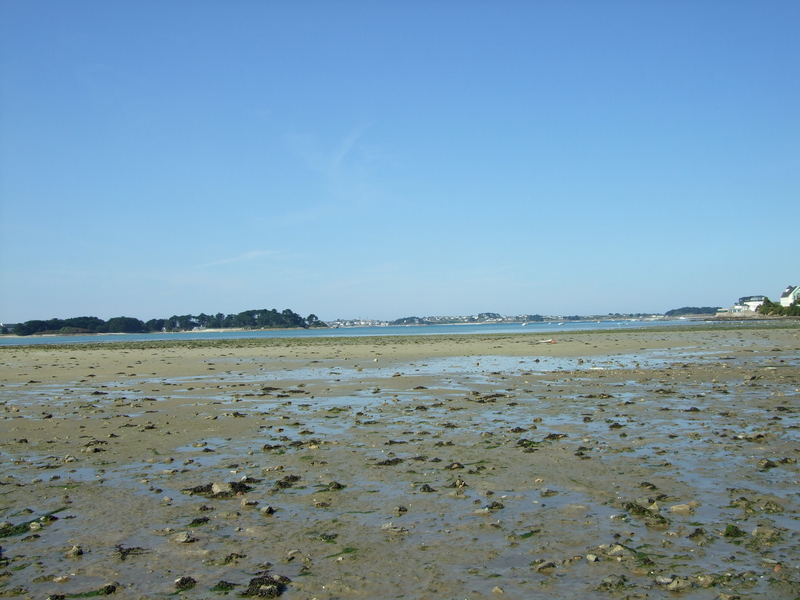 Roscoff : Plage de Groa Rouz