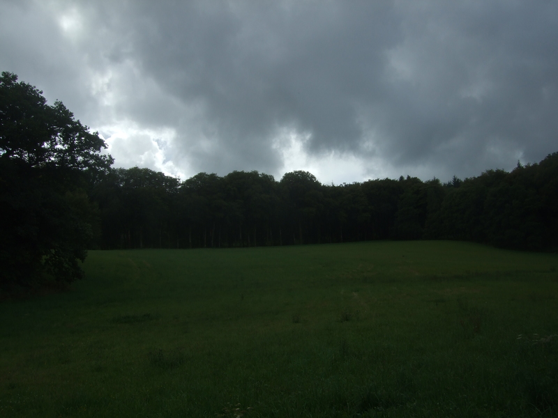 Parc du château de PontCallec (image sombre)