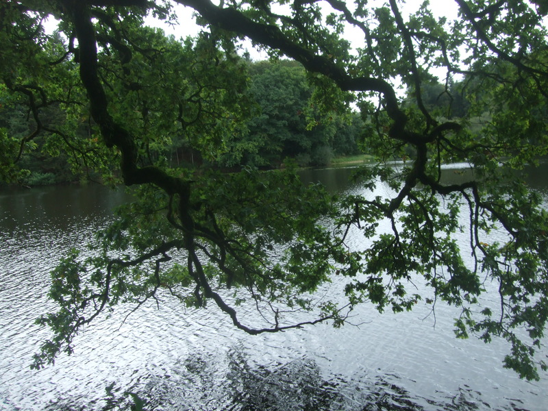 Reflet étang de Pont Callec