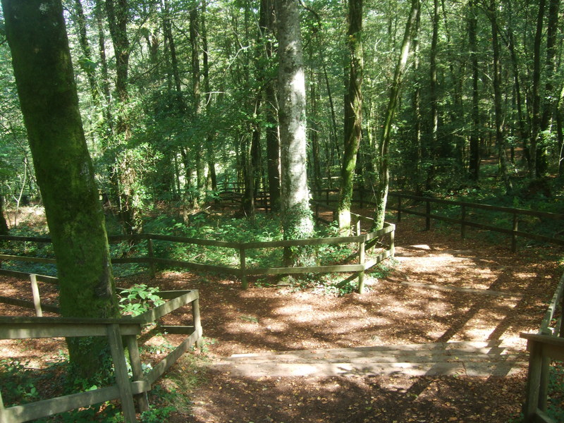 Descente assez abrupte à partir de la route en direction de l’Éllée