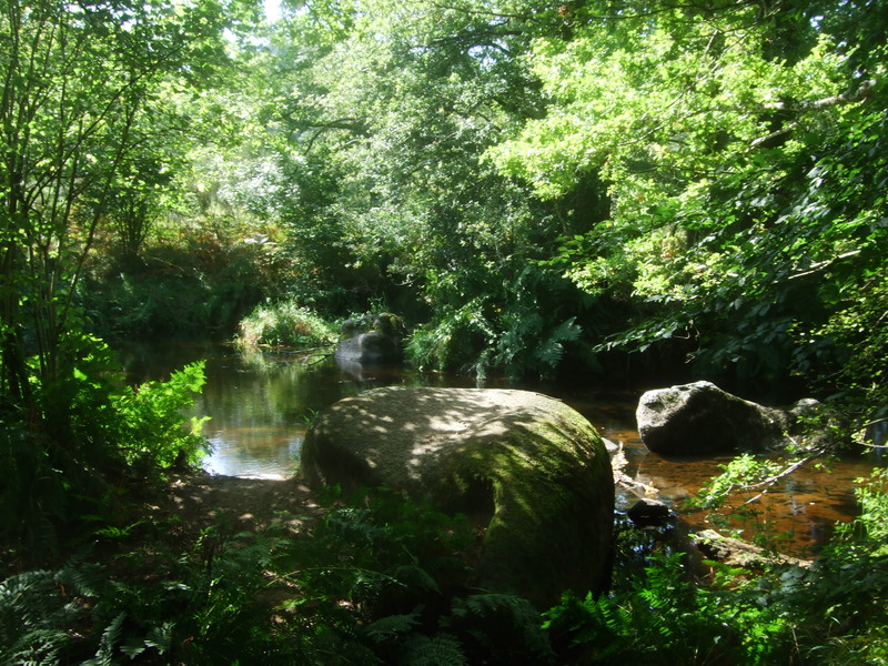 Roches du diable (Guilligomarc'h)