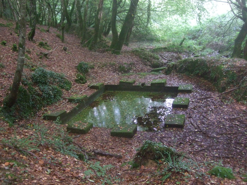 Ancien lavoir (?) forêt de Camors (circuit Tro Bourk)