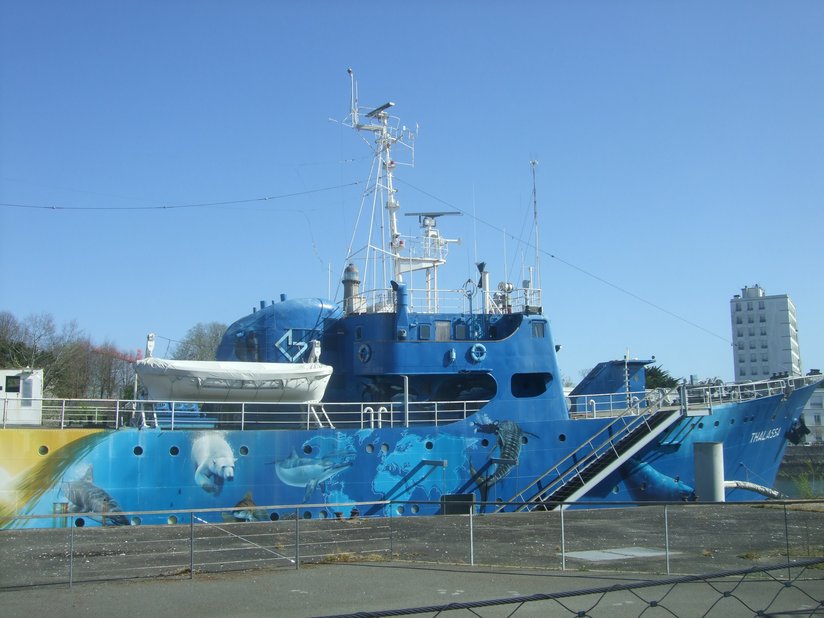 Non ce n’est pas Tara, mais un autre bateau, la Thalassa, « navire découverte », décoré façon street art