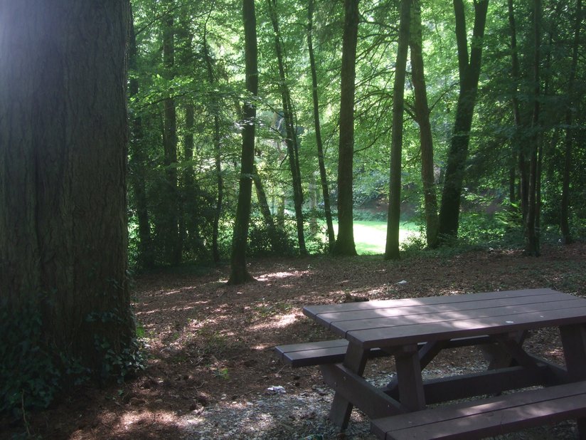 Table de pique-nique parc de Kergoff