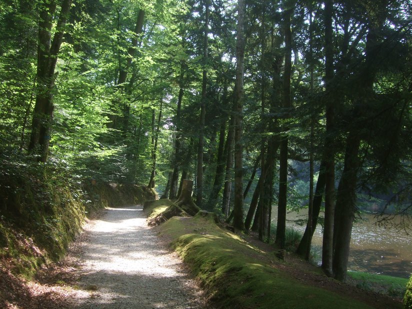 Parc de Kergoff à Caudan