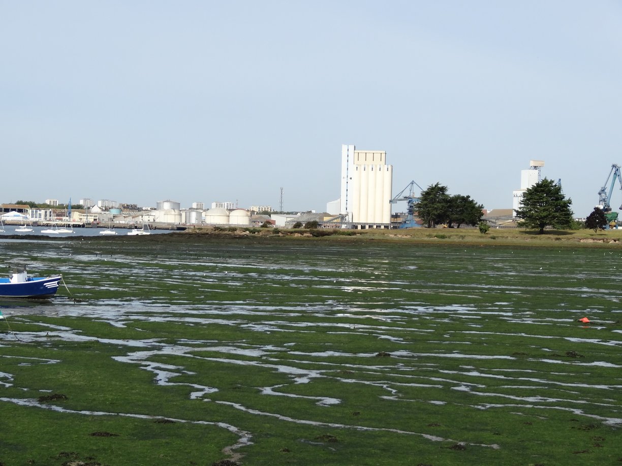 Rade de Lorient envasée vue de Locmiquélic