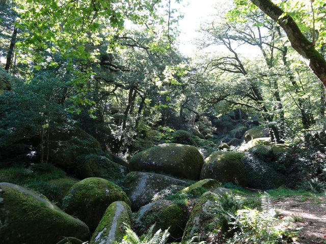 Le plein de chlorophylle et d’énergie à Huelgoat, sa forêt et ses roches graniteuses