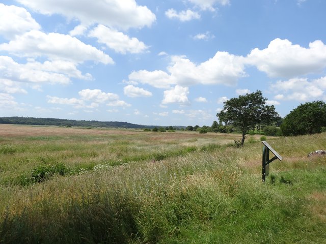 Paysage Port de Foleux (Béganne)