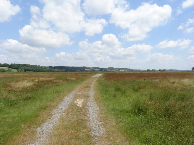 Chemin Port de Foleux à Béganne 