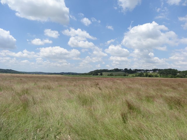 Prairie Port de Foleux (Béganne)