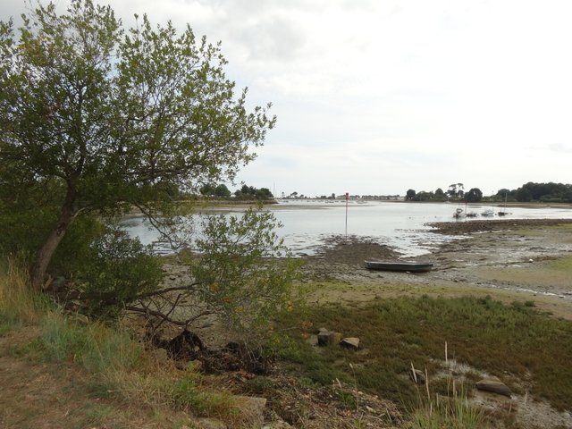 Petit étang marin, Port-la-Forêt